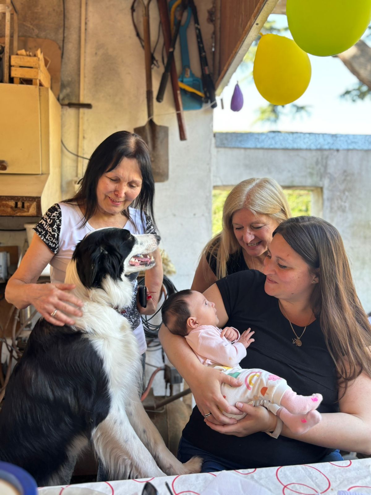 WhatsApp Image 2024-10-05 at 23.25.47.jpeg